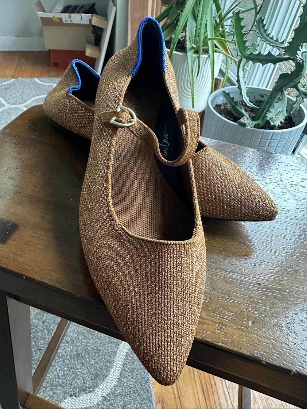 Rothy’s The Point Mary Jane flats